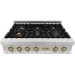 ZLINE RTZ36CB Autograph Edition Series 36 Inch Natural Gas Rangetop with 6 Sealed Burners, Continuous Grates, Continuous Grates, Cast Iron Grates, Sealed Burners, ETL, Brass Burners, Italian Made Burners, No-Scratch Porcelain Design in Stainless Steel